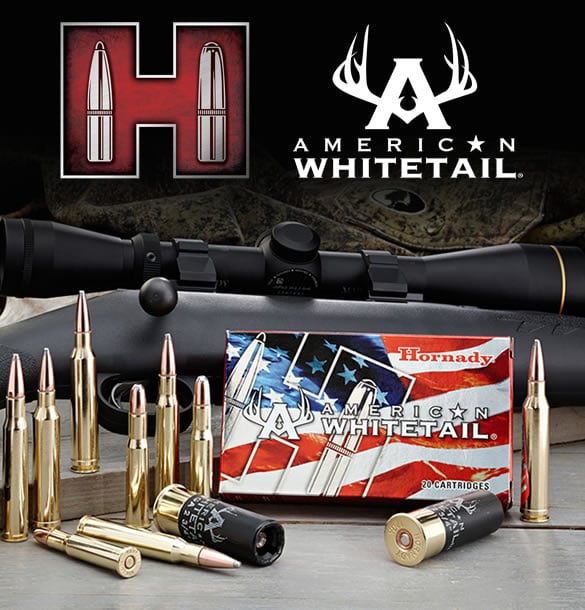 Ammunition For Sale | Sportsman's Outdoor Superstore | Online Ammo Store