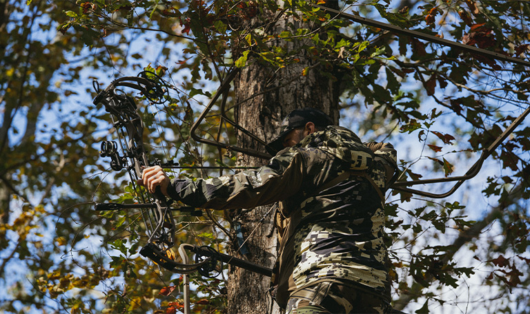 bear Alaskan Bows