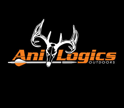 ANILOGICS Logo