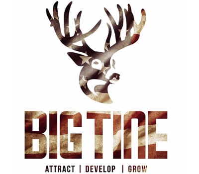 BIG TINE Logo