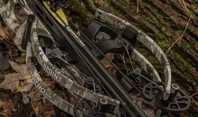 ten point Nitro Bows