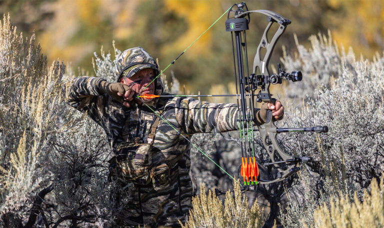 hoyt RX 9 Bows