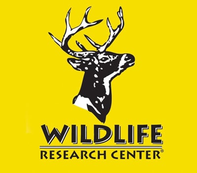 WILDLIFE RESEARCH Logo