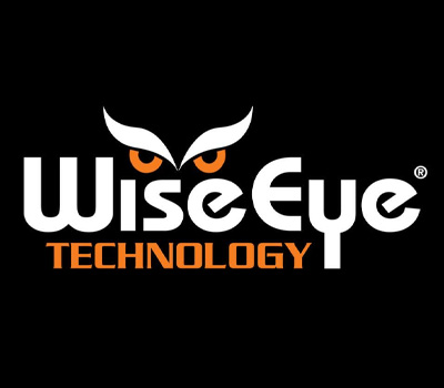 WISEEYE Logo