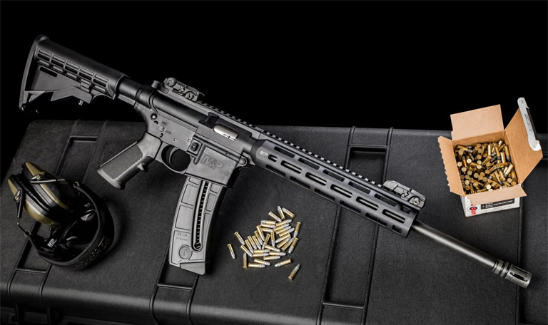 smith and wesson MP1522 Rifle