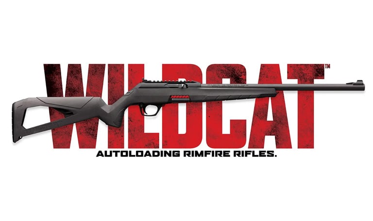 Wildcat 22