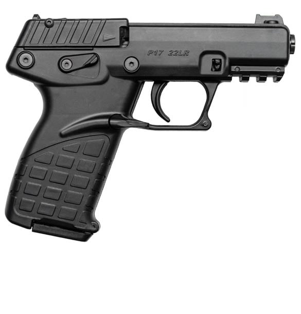 Guns under $300