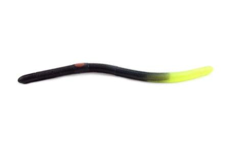 FIRETAIL BLACK/CHARTREUSE FIRETAIL