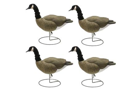 LIMIT WATERFOWL CANADA GOOSE FULL BODY W/ FLEXFLITE HEADS 4 PK