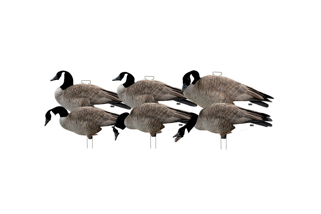 Banded Pro-Grade Silhouette Decoy - Canada Goose 6 Pack