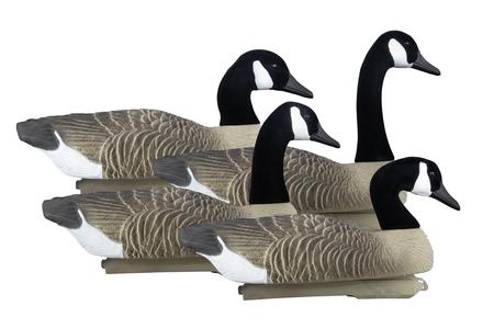 HIGDON FULL-SIZE GOOSE FLOATER, CANADA (4PK)