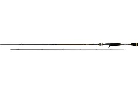 AIRD X SPINNING ROD 6`6`ML