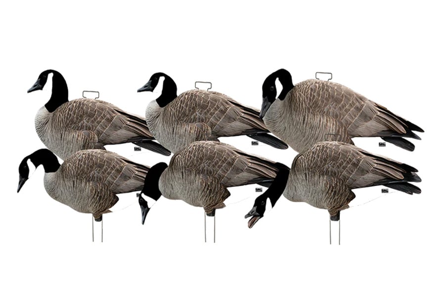 Banded Pro-Grade Silhouette Decoy - Canada Goose with Flocked Head 6 Pack