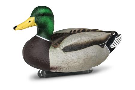 REFUGE SERIES MALLARDS 6PK.