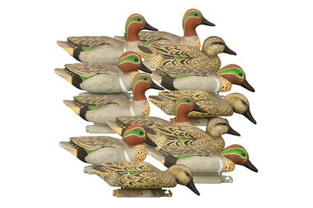 STANDARD GREEN WING TEAL (12 PK)