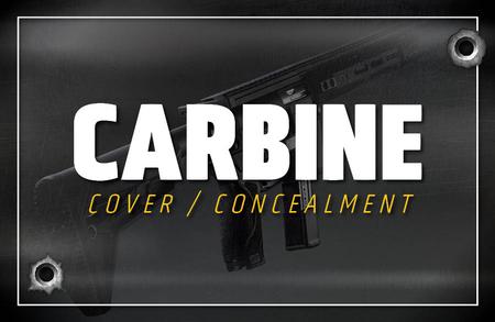 CARBINE: COVER CONCEALMENT