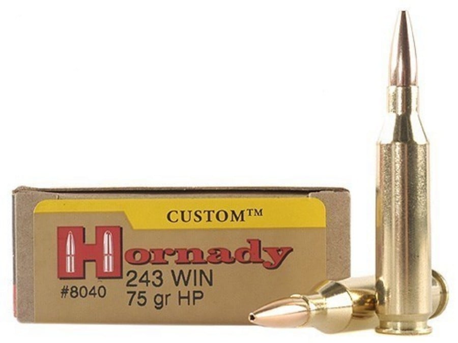 Hornady 243 WIN 75 GR HP 20/Box | Vance Outdoors