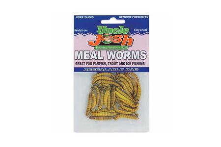 MEAL WORMS, 24 COUNT