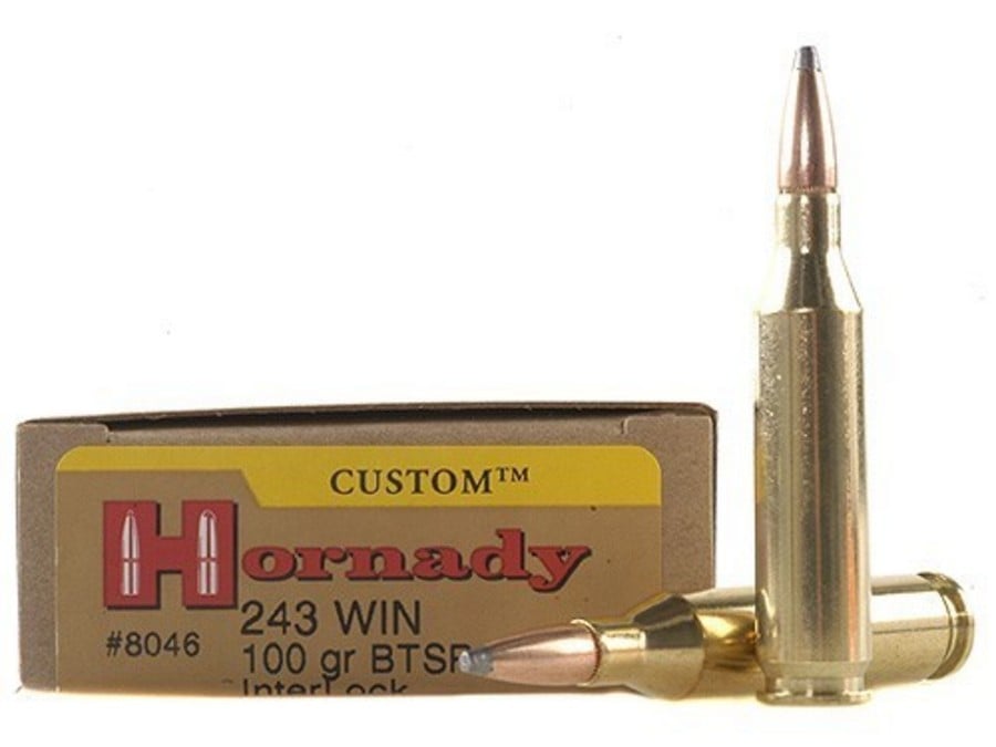 Hornady 243 Win 100 gr BTSP 20/Box | Vance Outdoors