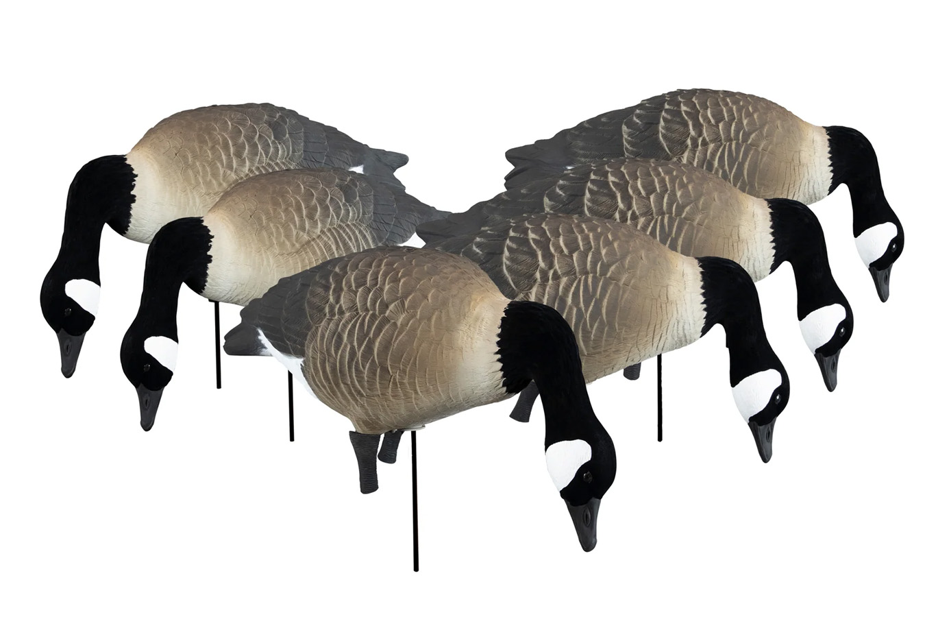 Higdon Apex Full Size Full Body Canada Goose Decoy 6 Pack