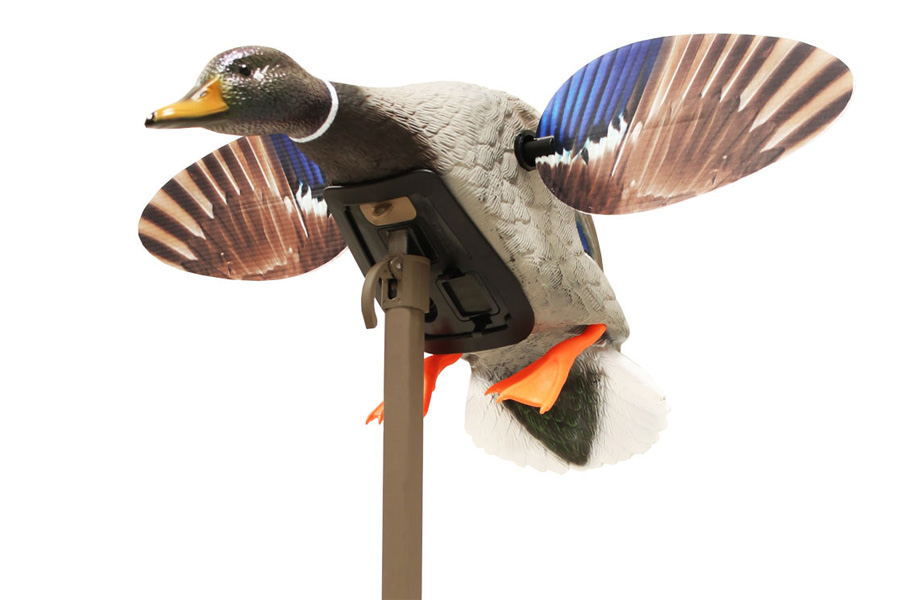 Mojo Outdoors Mallard- Mini Mallard Drake