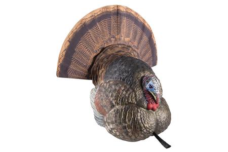 LCD STRUTTER TURKEY SPECIES MULTI COLOR DURA-RUBBER