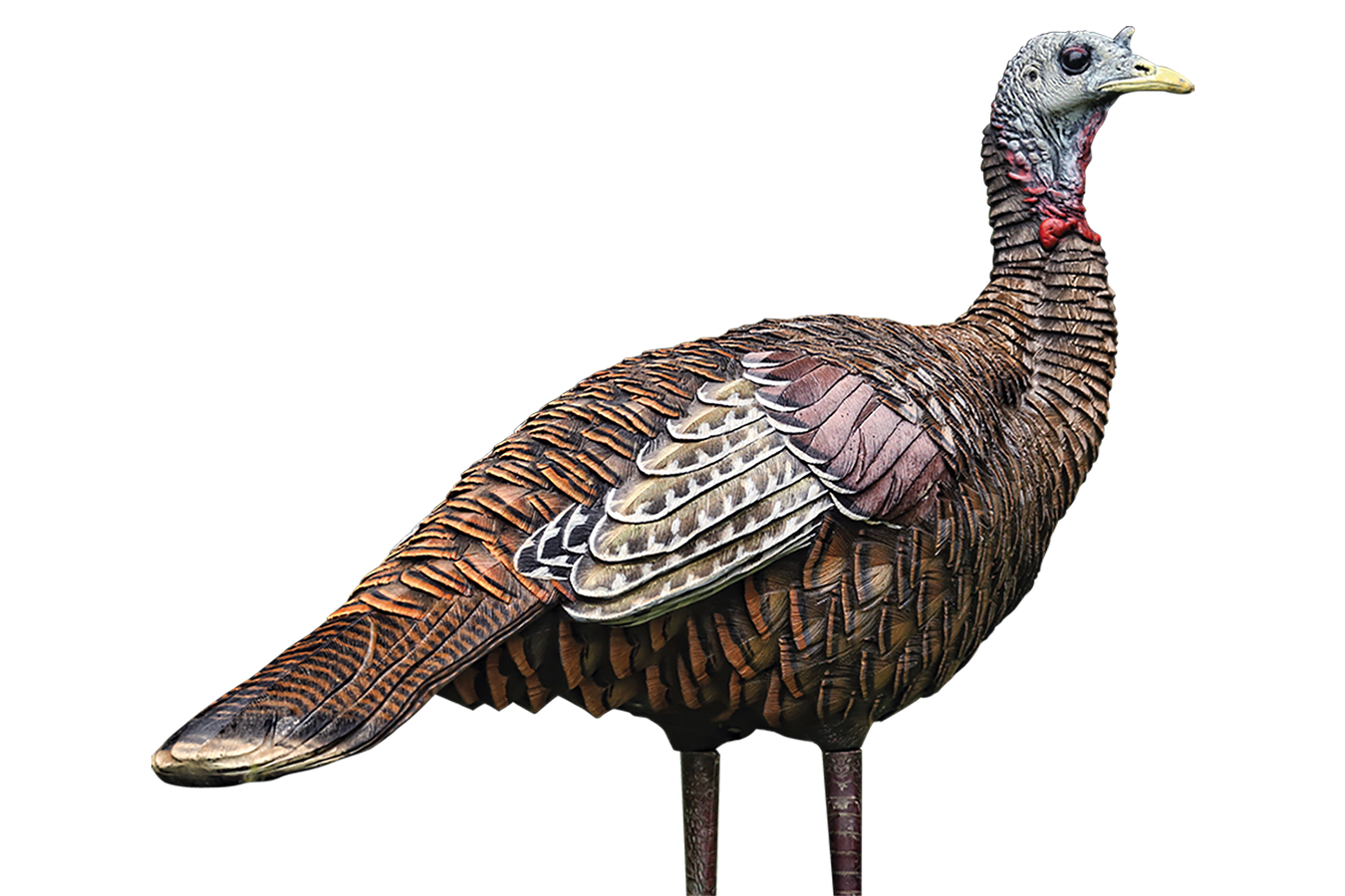 LCD LOOKOUT HEN TURKEY SPECIES MULTI COLOR DURA-RUBBER