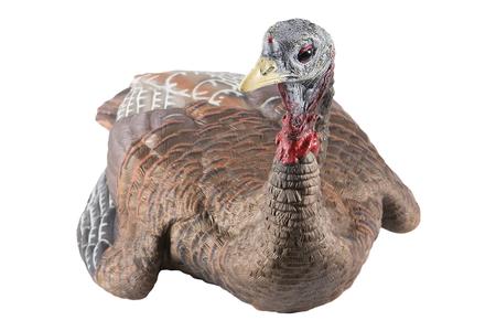 LCD LAYDOWN HEN TURKEY SPECIES MULTI COLOR DURA-RUBBER