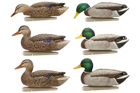 TOPFLIGHT MALLARDS SPECIES MULTI-COLOR