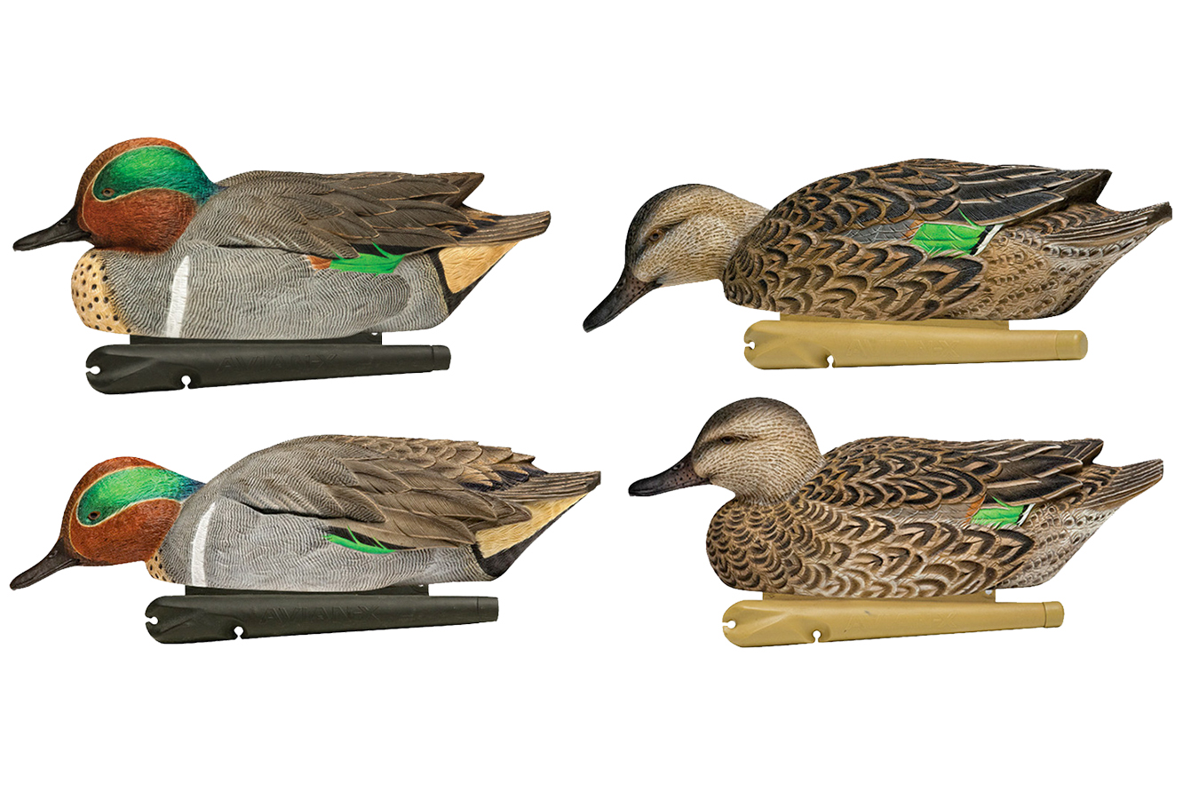 Avian X Topflight Teal Species Multi-Color