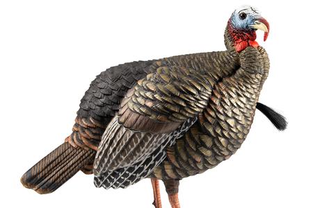 HDR JAKE TURKEY DECOY MULTI COLOR