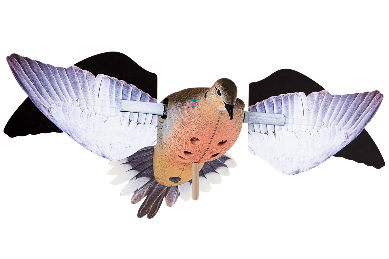 POWERFLIGHT DOVES SPECIES MULTI-COLOR