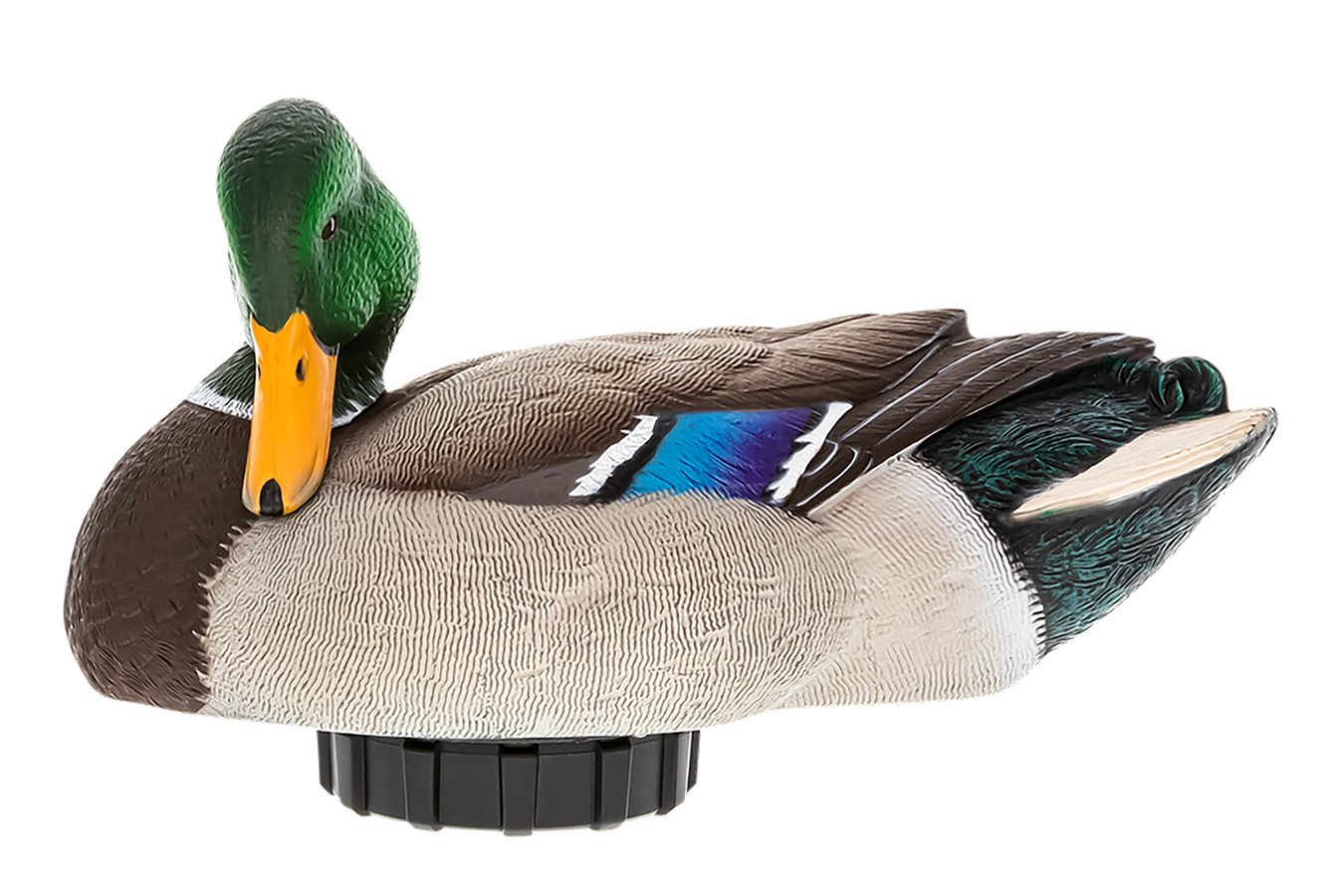 Avian X Mallards Species Multi-Color