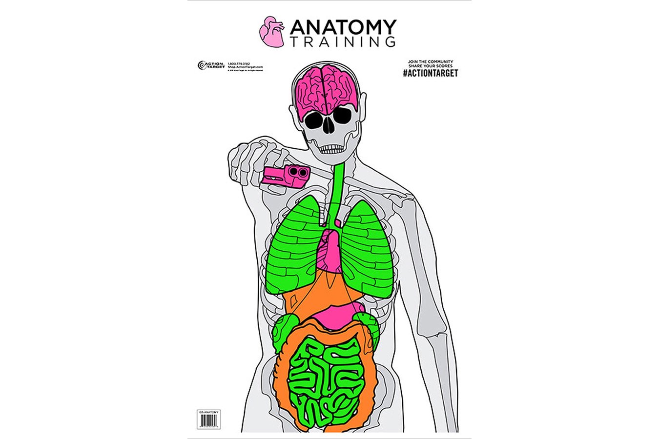 Action Targets Action Target GSANATOMY100 Entertainment Training Silhouette/Vitals Paper Target 23