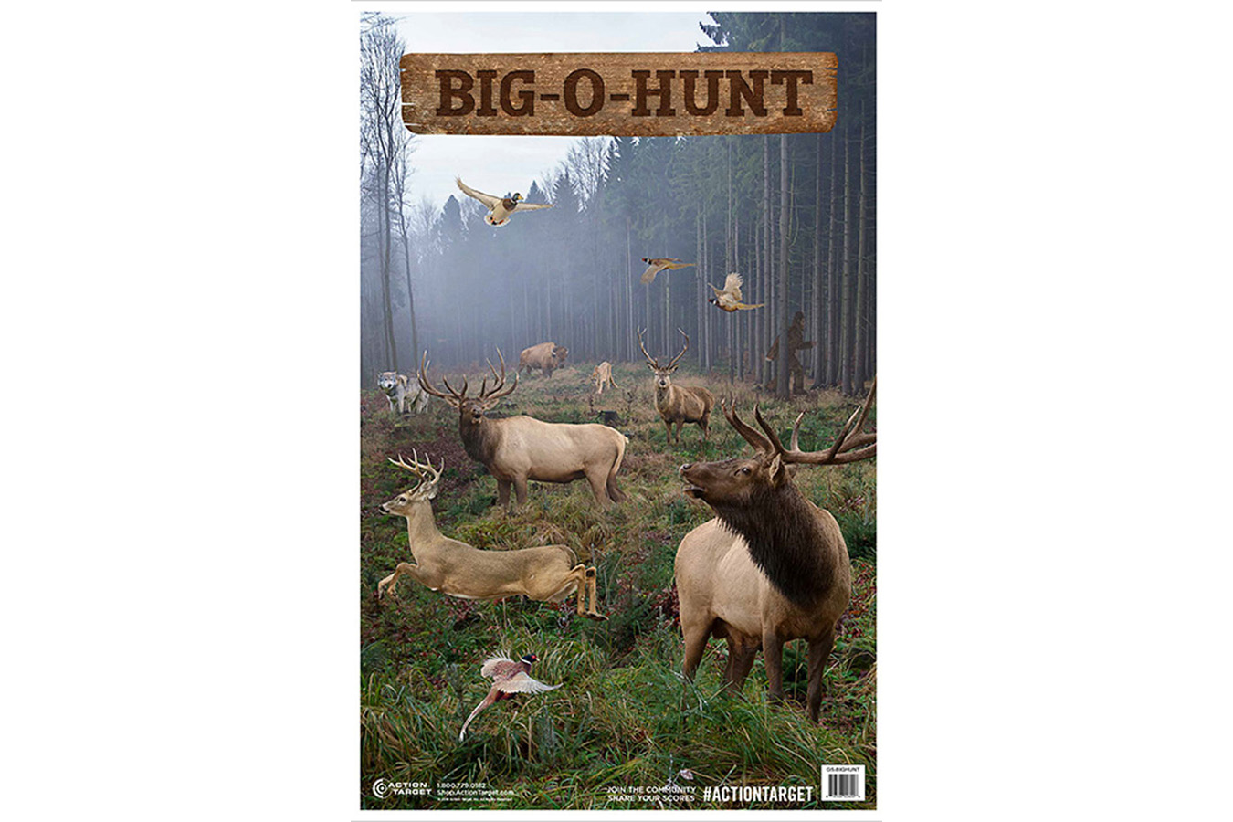 ACTION GSBIGHUNT100   BIG O HUNT             100BX