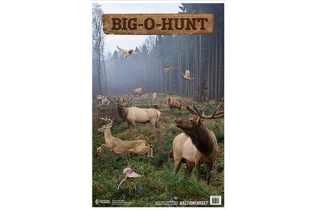 ACTION GSBIGHUNT100   BIG O HUNT             100BX