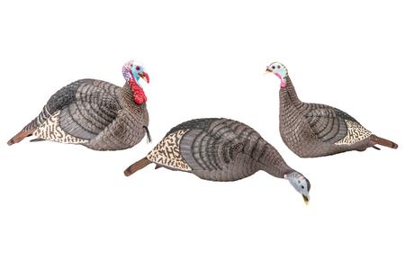 STRUT-LITE FLOCK WILD TURKEY SPECIES MULTI COLOR SYNTHETIC 3 PER PACK