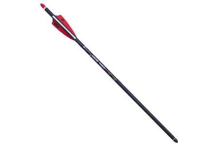 TEN POINT CenterPunch HPX 20" Carbon Arrow  Single - TEN POINT