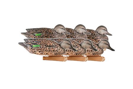 PG GREEN-WINGED TEAL-EARLY SEASON HEN PACK (6-PACK)