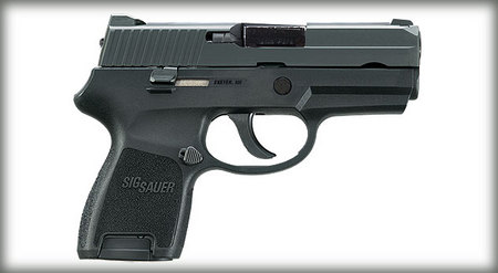 P250 SUB COMP 9MM W/ NIGHT SIGHTS (LE)