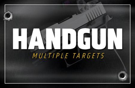 HANDGUN: MULTIPLE TARGETS