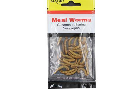 MEAL WORMS - .21 OZ. BAG