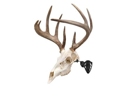 EZ MOUNT SKULL HANGER BLK