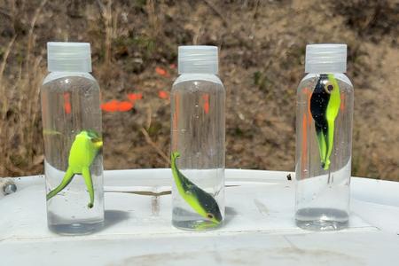 TADPOLE TARGETS GEN3 (PACK OF 1)