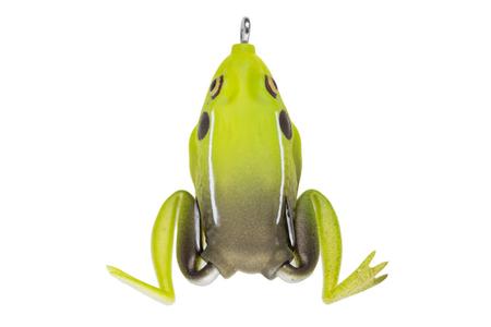 POCKET FROG KING TOAD