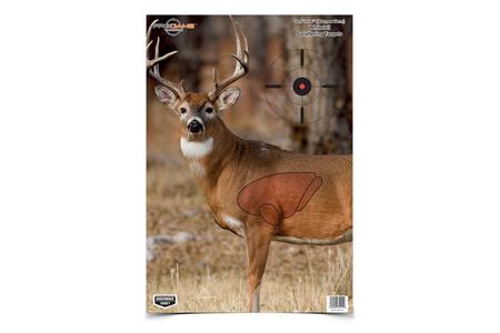 BC PREGAME 16.5 X 24 WHITETAIL TARGET 3 PK