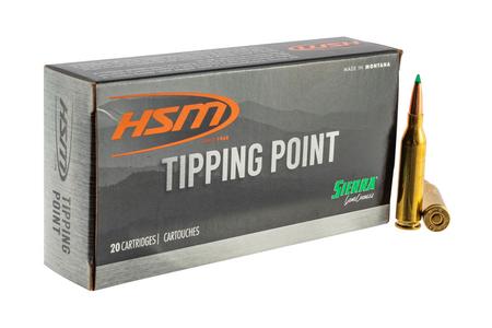 HSM 300646N      3006    165 HORNSST TIP PNT 20/20