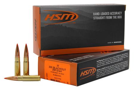 HSM 300BLK1N     300 BO  208 AMAX            20/25