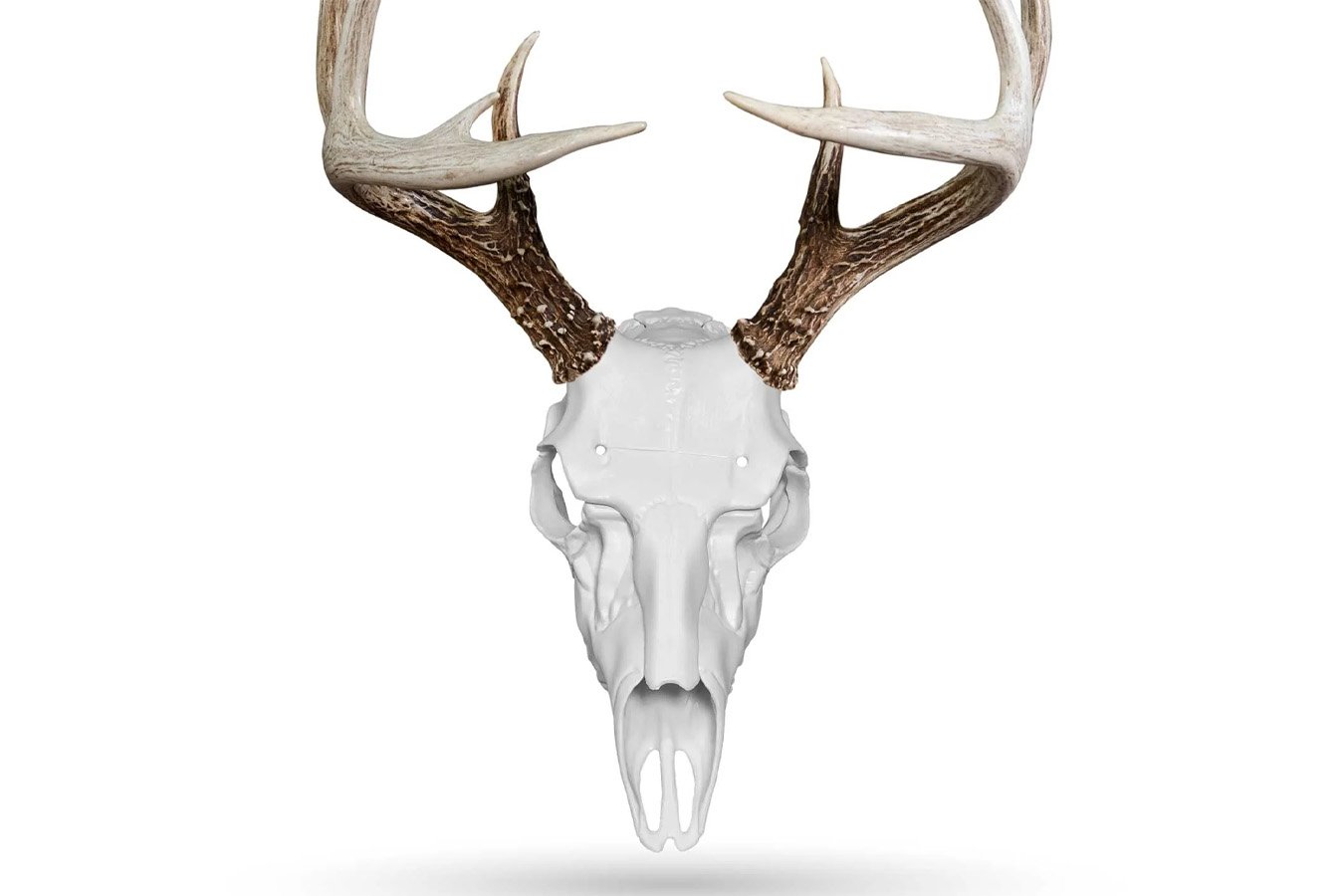 ILLUSION SYSTEMS LLC SKULL MASTER - WHITE