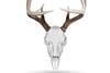 Recently Added Hunting